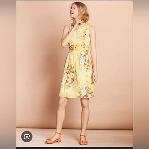 Brooks Brothers Cotton Floral Dress 2 NWT